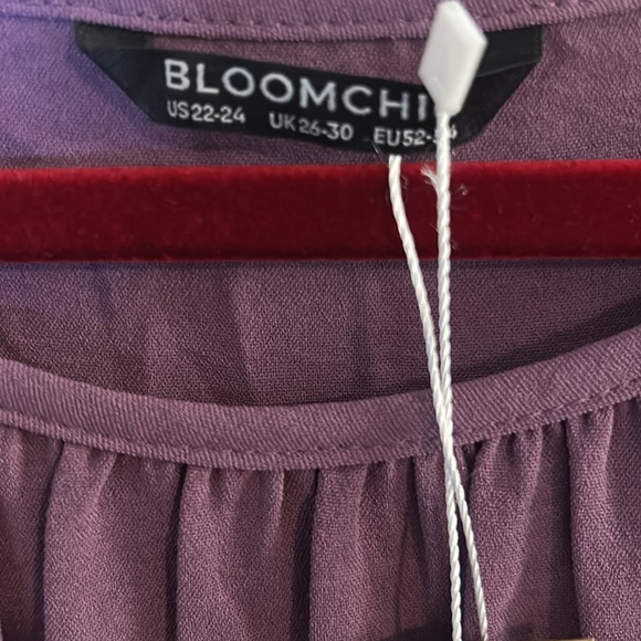 BloomChic Ruffle Blouse - Picture 3 of 6